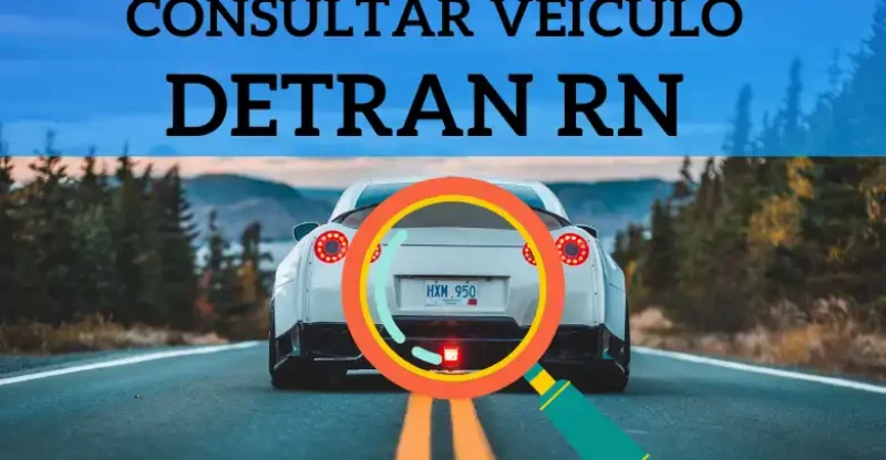 Consulta de Veículo no Detran RN