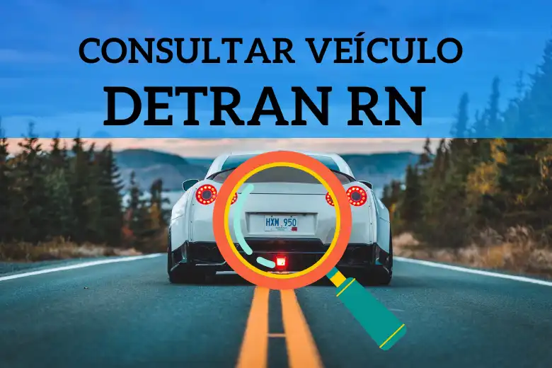 Consulta de Veículo no Detran RN