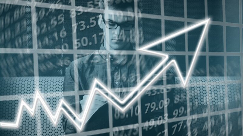 Como começar a investir do zero: guia completo para iniciantes